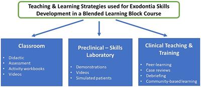 Exodontia curriculum evaluation: fit for purpose teaching and learning strategies